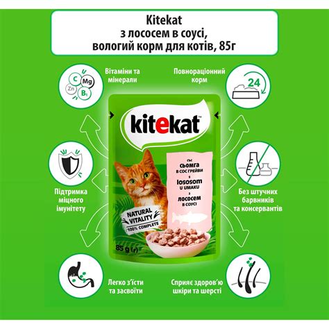 Вологий корм для котів Kitekat з лососем в соусі 85 г купити у Києві ...