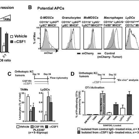 Csf1 Csf1r Signaling Blockade Elevates Pdl1 Expression In Tumor Cells Download Scientific