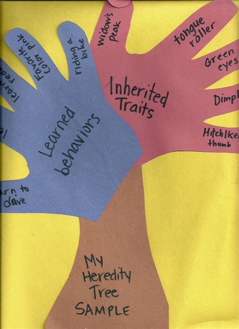 Inheritance And Traits Rd Grade