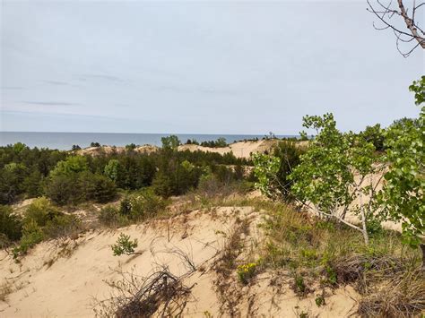 Incredible Indiana Dunes Trails