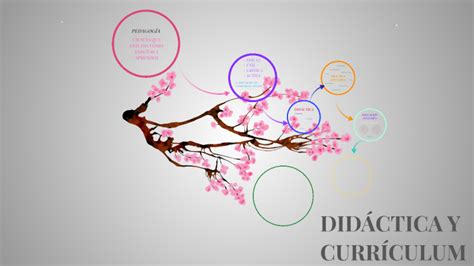 Did Ctica Y Curr Culum By Nerea Fernandez On Prezi