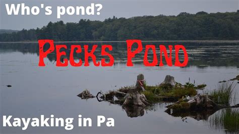 Pecks Pond Kayaking In Pa YouTube