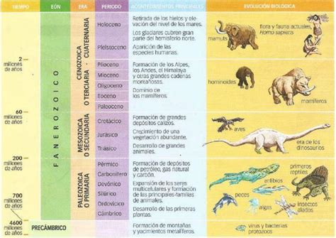 Las Eras Geologicas Linea De Tiempo Brainlylat Porn Sex Picture