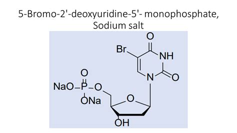 5 Bromo 2 Deoxyuridine 5 Monophosphate Sodium Salt Akonscientific