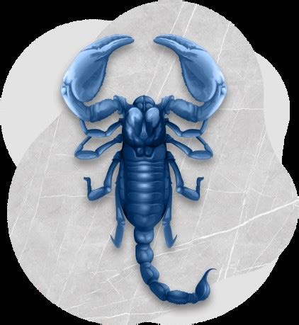 Blue Scorpion Venom Treatment - Stop and Shop the New Lifestyle ...