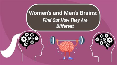 Male Vs Female Brain Structure