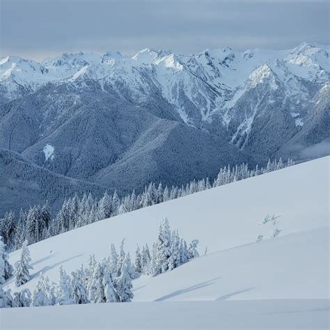 Hurricane Ridge Trail Map | Ski Maps | Washington