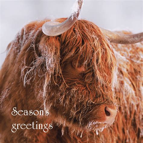 Seasons Greetings Card Island Blue