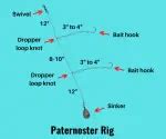 Paternoster Rig 101 (Setup & Fishing Guide with Pictures)