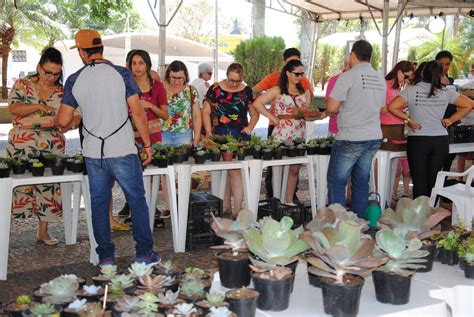 1ª Feira de Cactos e Suculentas reuniu centenas de pessoas Tupãense