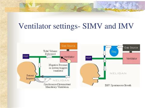 PPT Respiratory Respiratory Failure And ARDS PowerPoint Presentation