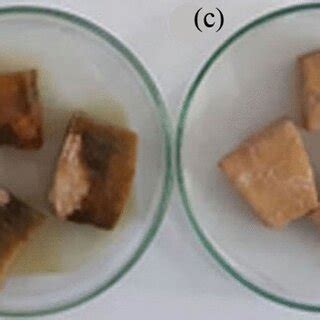 Characterization Of Agnps Synthesized With Pseudomonas Canadensis Ma