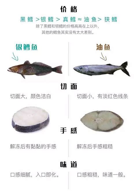 宝宝吃鱼更聪明，但不是所有的鱼都好，尤其这几种！ 搜狐