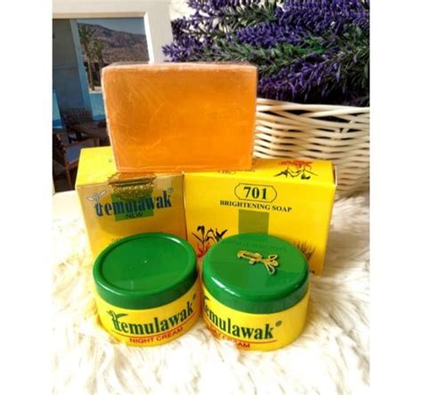 In Authentic Temulawak Set Day And Night Cream Whitening Cream