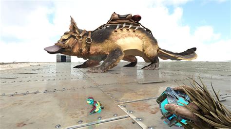 Spot the sinomacrops! Smallest baby in ark? So cute 🥰 : r/ARK