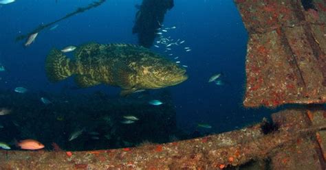 The Gps Coordinates For Every Artificial Reef In Louisiana