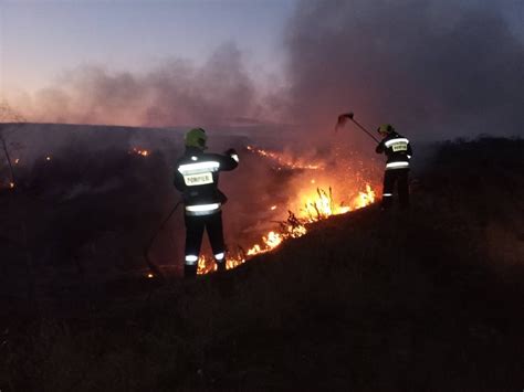 Pompierii atenționează Tot mai multe incendii de vegetație AgroTV