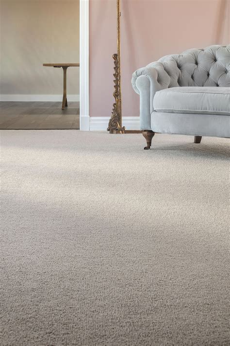 Most Popular Carpet For Living Rooms At Billy Zimmerman Blog