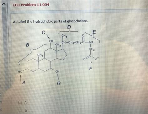 Solved Eoc Problem A Label The Hydrophobic Parts Chegg