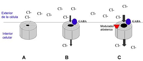 Ciencia Al D A Internacional Art Culo Biolog A