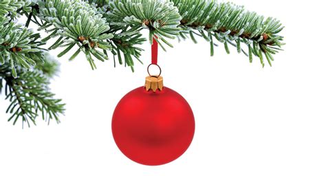 O Tannenbaum: A Christmas Tree Primer - Lehigh Valley MarketplaceLehigh Valley Marketplace