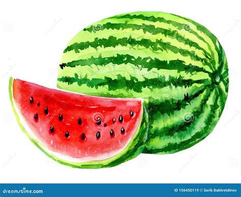 Bright Whole Watercolor Watermelon Stock Illustration Illustration Of Bright Natural 156450119