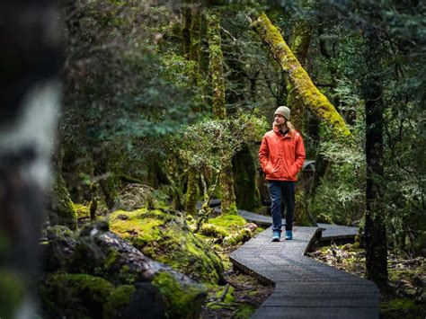 7 Best Day Walks In Cradle Mountain You Must Complete