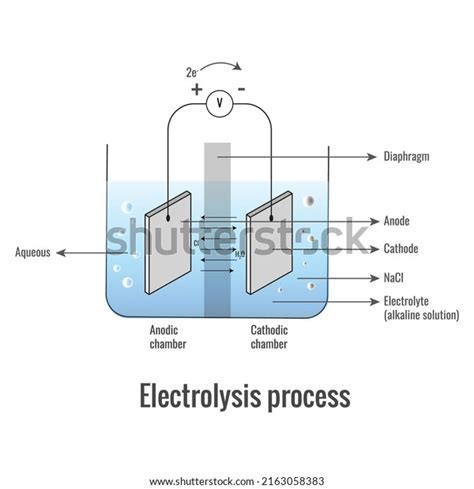 Electrolysis Sodium Chloride Labeled Diagram Show Stock Vector Royalty Free 2163058383