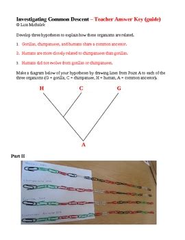 Evolution Investigating Common Descent Laboratory Lesson Plan By Lisa