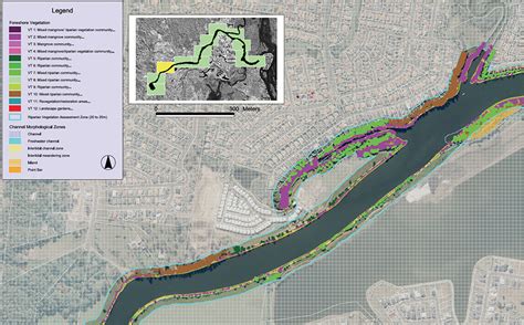 Riparian & Coastal Vegetation - RIPARIAN ENGINEERING