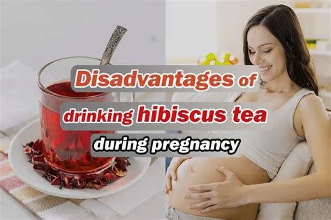 Can Pregnant Women Drink Hibiscus Tea Hipregnancy