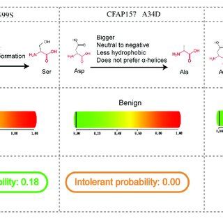 Specific Fixed Specific Amino Substitutions In Udt Mammals Udt