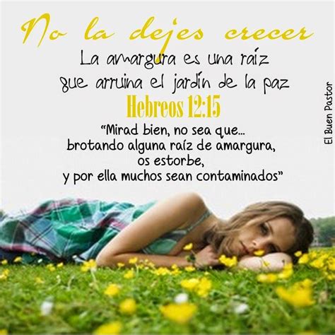 Yo Soy El Buen Pastor Hebreos 12 15 Frases Cristianas Poderosas