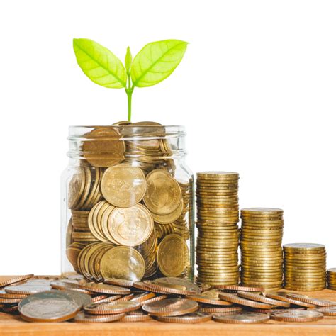 emas kenali berbagai jenis  fungsi emas  kehidupan treasury