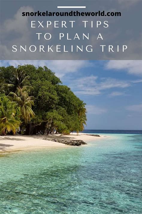 Planning A Snorkeling Trip 10 Tips You Need To Know