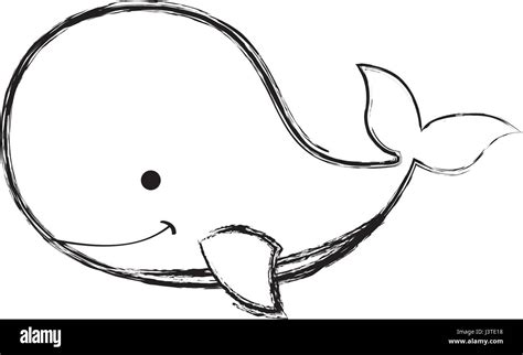 Cute Whale Tender Icon Stock Vector Image Art Alamy