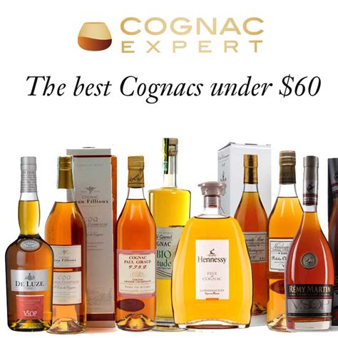 Best Cognacs Under 60 In 2023 Cognac Expert Blog