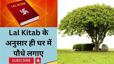 Lal Kitab Ke Upay Tree