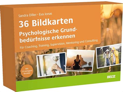 bluebird talk Bedürfniskarten für Coaching Training und Mentoring