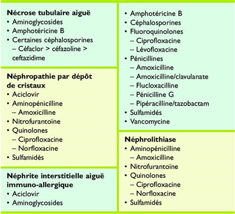 Vendeur Ducation Morale Maori Intervalle Prise Antibiotique Syndicat