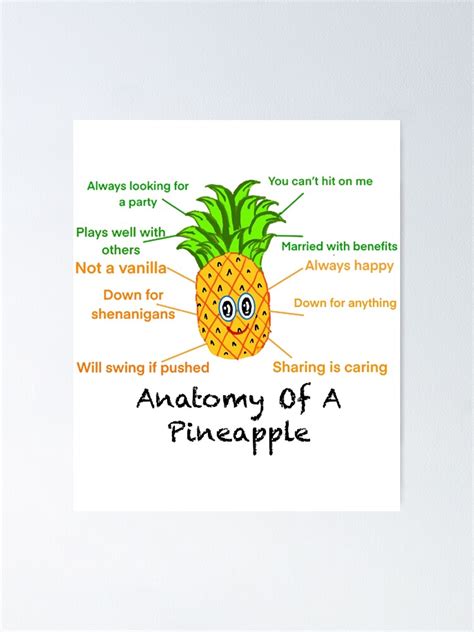 Anatomy Of A Pineapple Poster For Sale By Lifeshinesss Redbubble