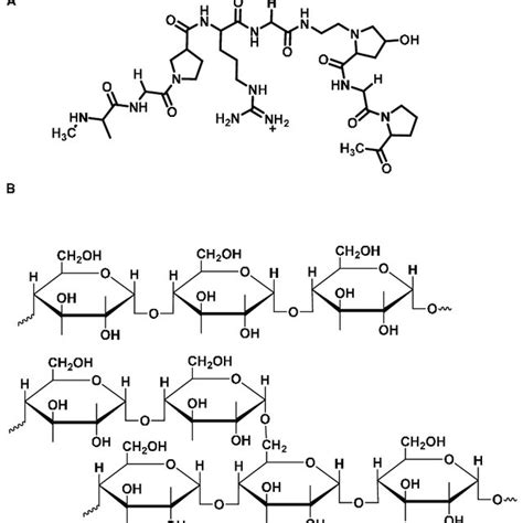 Scheme Chemical Structure Of A Gelatin And B Cassava Starch Download ...