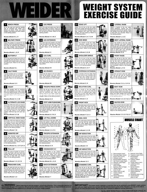 Weider Home Gym Exercises Charts And Free Pdf Plans