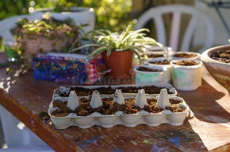 Creative Ways To Use Old Egg Cartons Yogurt Tubs And Milk Cartons Grow