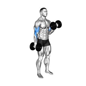 Dumbbell Bicep Curl Smash Your Limit BurnFit