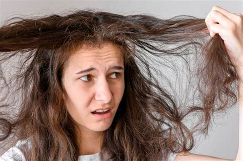 Penyebab Rambut Kering Dan Kusam Ini Cara Mengatasinya Yang Tepat Stylo