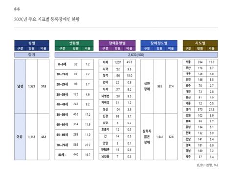 돋보기세상 지난해 국내 등록 장애인 263만3000명10명 중 6명은 노인 시사캐스트