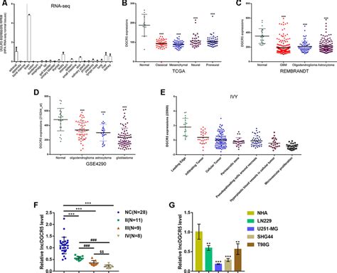 Expression Of LncRNA DGCR5 According To Online Data And Experimental