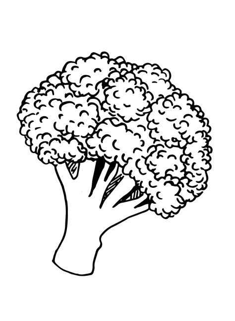 Broccoli Cartoon Immagini Disegni Da Colorare Broccoli Disegni Da