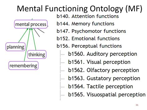 Ppt Mental Functioning Ontology And The Icf Powerpoint Presentation